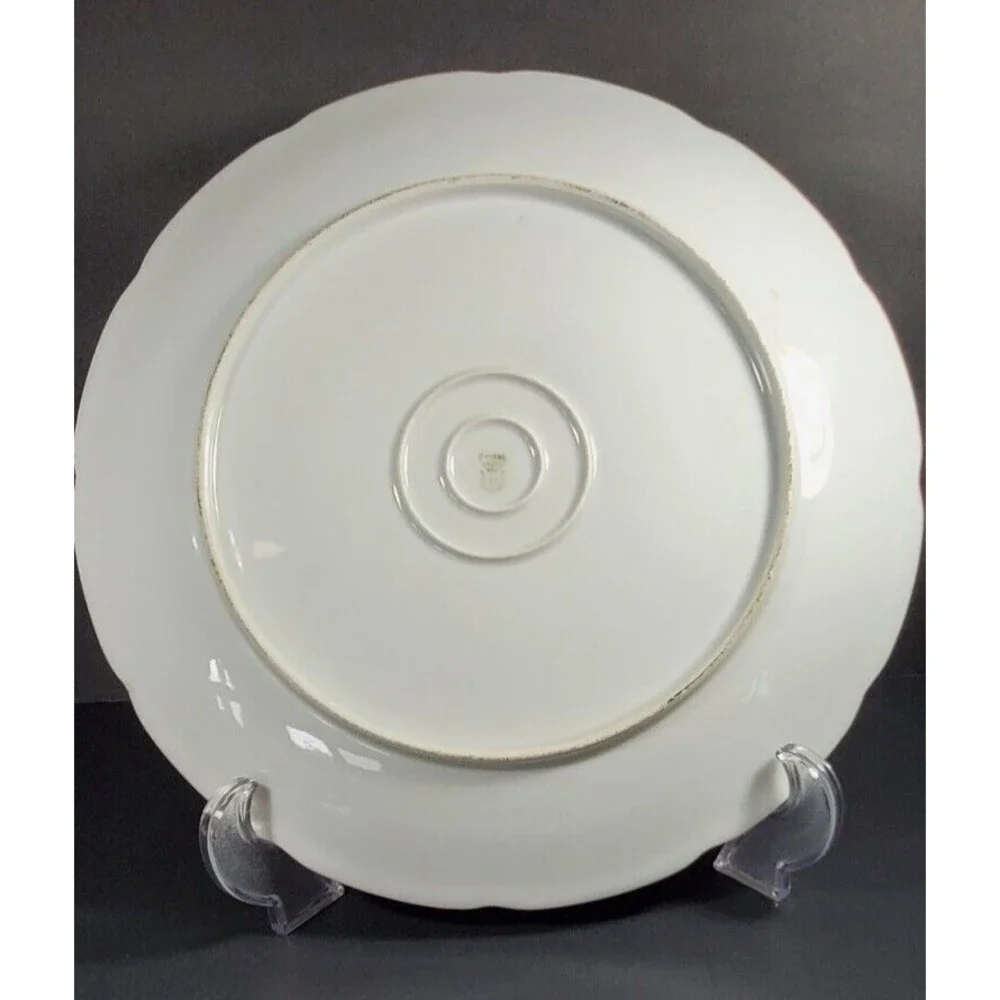 Vtg Hand-Painted Royal Rudolstadt Large Porcelain Plate Floral Spider Webs